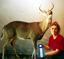 SmithTaxidermy.Net Kentucky Taxidermist Velma Smith